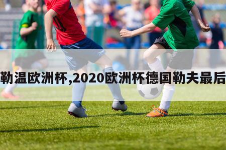 勒温欧洲杯,2020欧洲杯德国勒夫最后