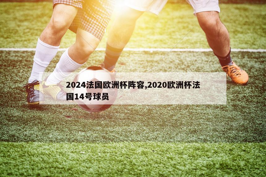 2024法国欧洲杯阵容,2020欧洲杯法国14号球员