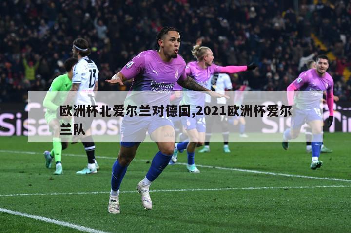 欧洲杯北爱尔兰对德国,2021欧洲杯爱尔兰队