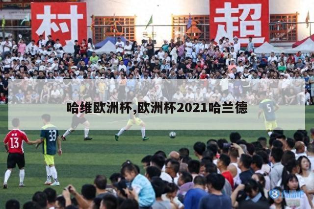 哈维欧洲杯,欧洲杯2021哈兰德