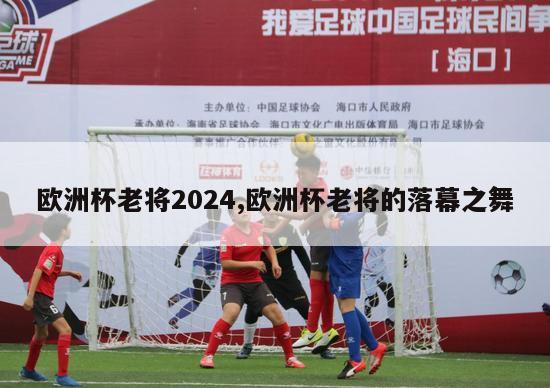 欧洲杯老将2024,欧洲杯老将的落幕之舞